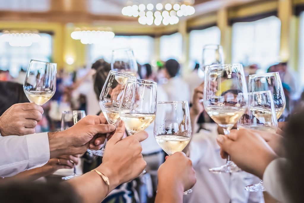 A heartwarming picture capturing a diverse group of people, each raising a glass of wine in celebration. The image showcases the power of unity and diversity, reminding us that joy, friendship, and special moments are truly meant to be shared by all