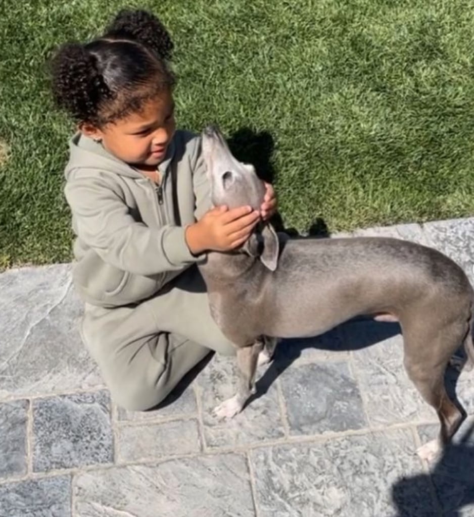 Photo shared by Kylie Jenner announcing her dog Norman's death, featuring her daughter Stormi
