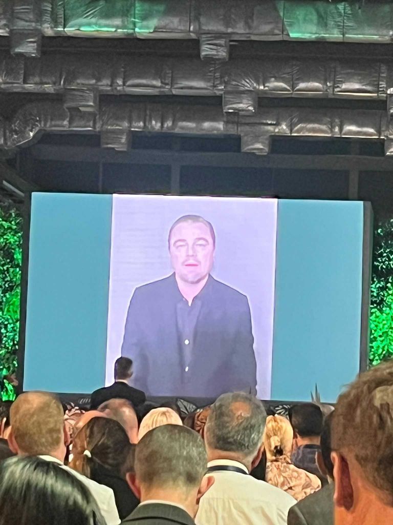 Leonardo DiCaprio making a surprise virtual appearance at  the United for Wildlife summit in Rio, Brazil