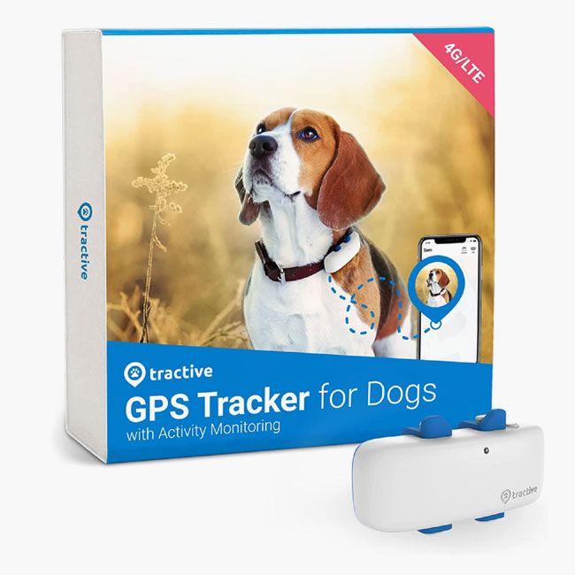 dog tracker