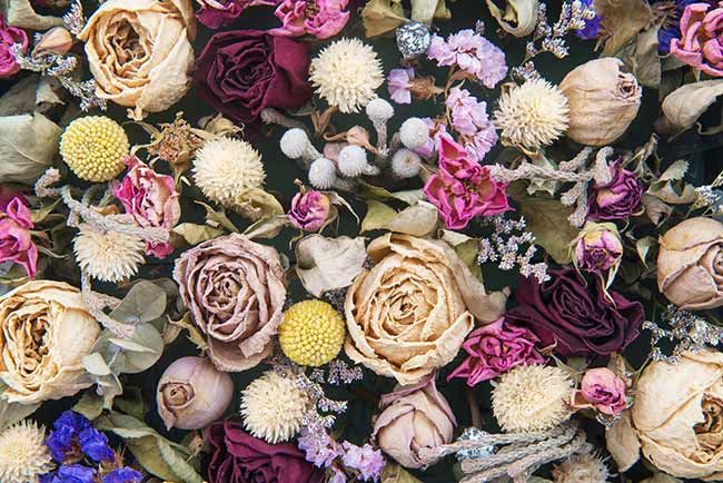 dried wedding flowers