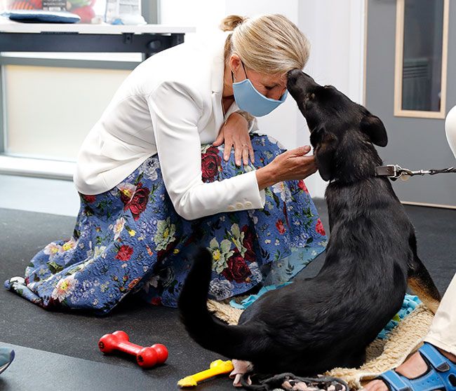 sophie wessex meets puppy guide dogs