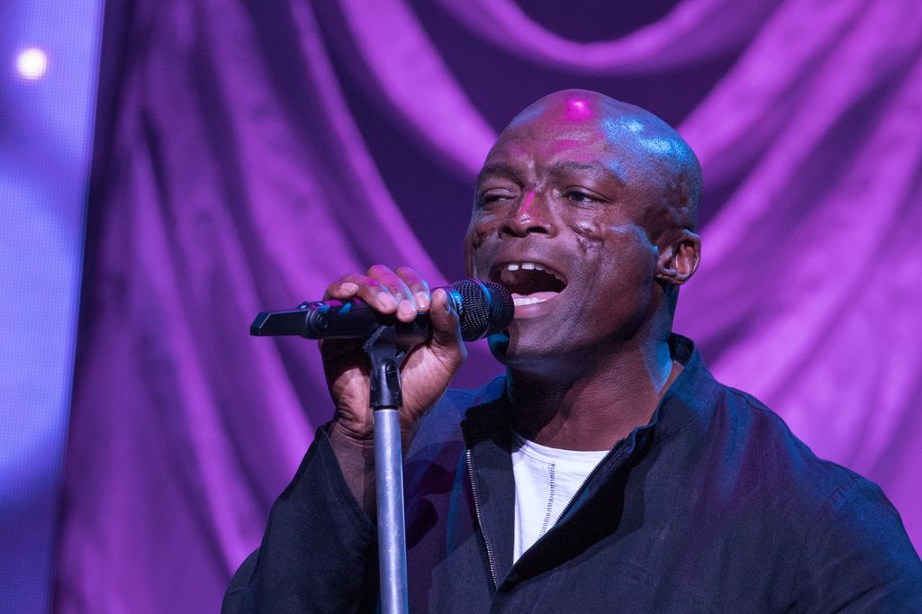 Seal holding a mic and singing on stage