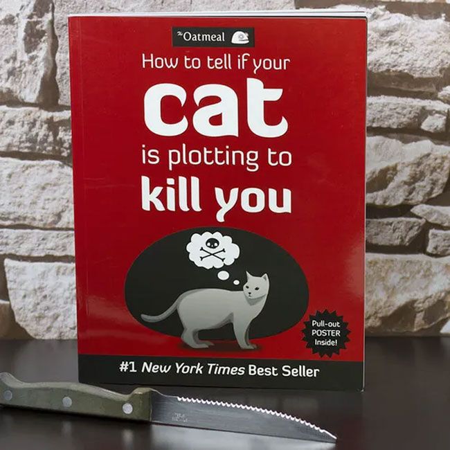 cat killing you