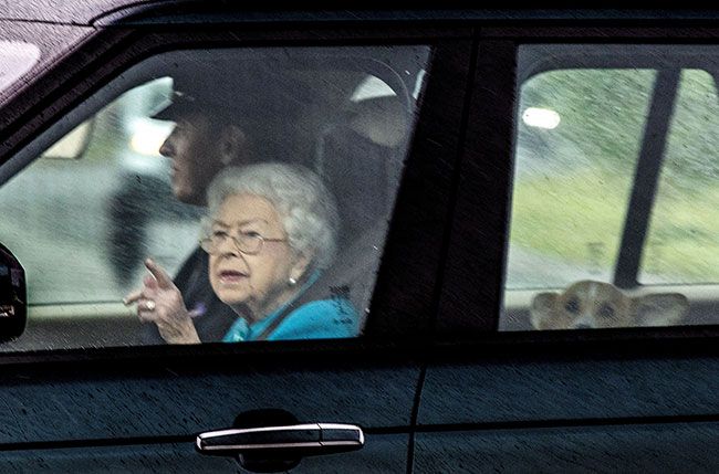 queen corgi car journey