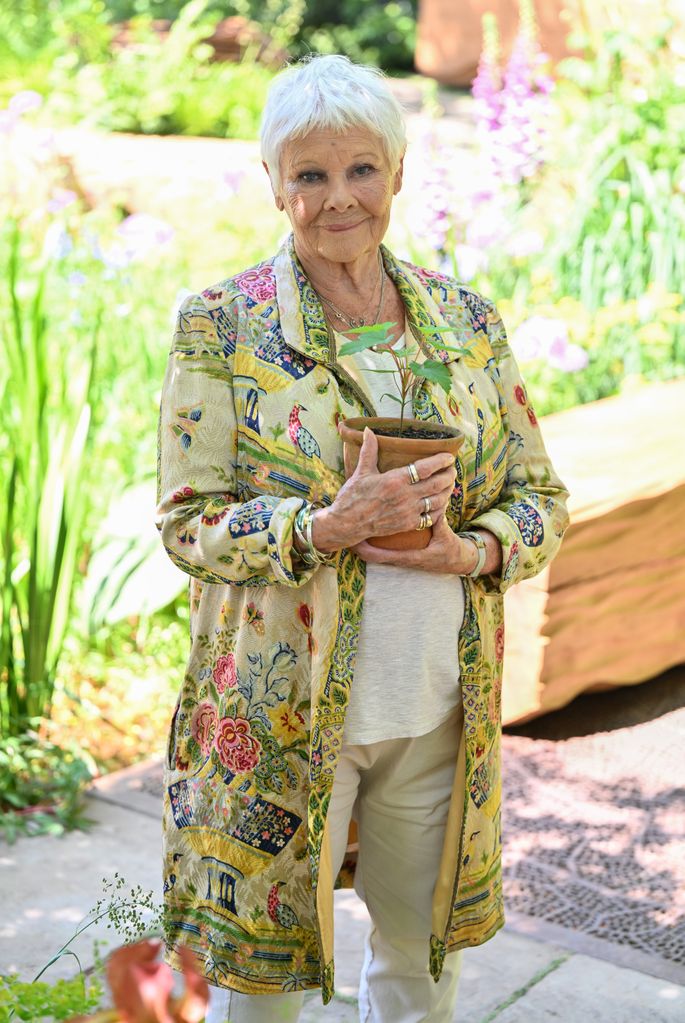 Dame Judi Dench attends The RHS Chelsea Flower Show at Royal Hospital Chelsea on May 20, 2024 in London, England