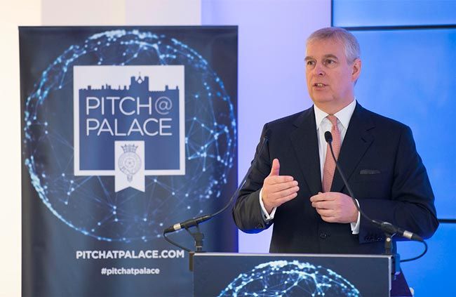 andrew pitch at palace