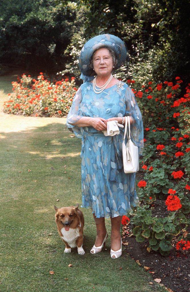 The Queen Mother walking in the grounds of her residence, Clarence House, with a corgi dog on her 75th birthday