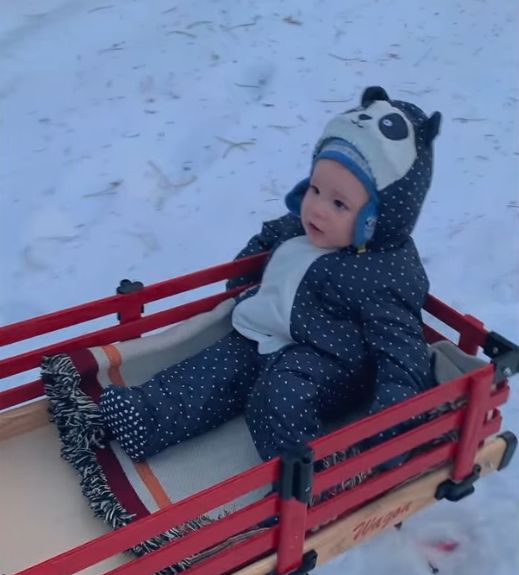 Archie being pulled on a sleigh in Canada