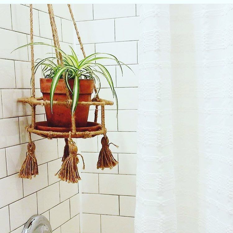 shower plant planter