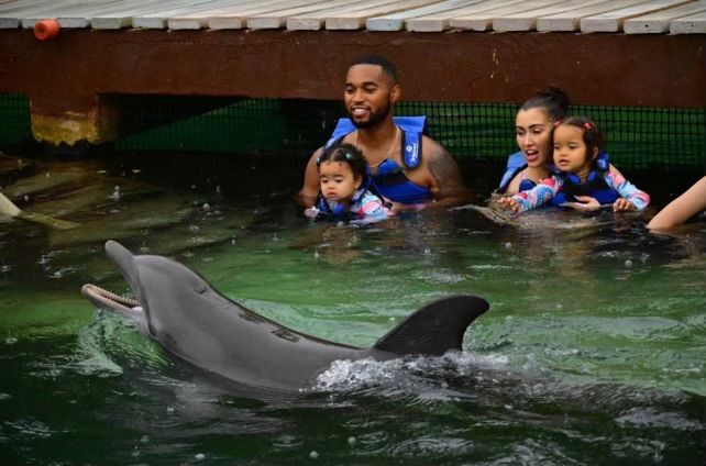 Tye White and wife Rania swimming with dolphins with their young girls