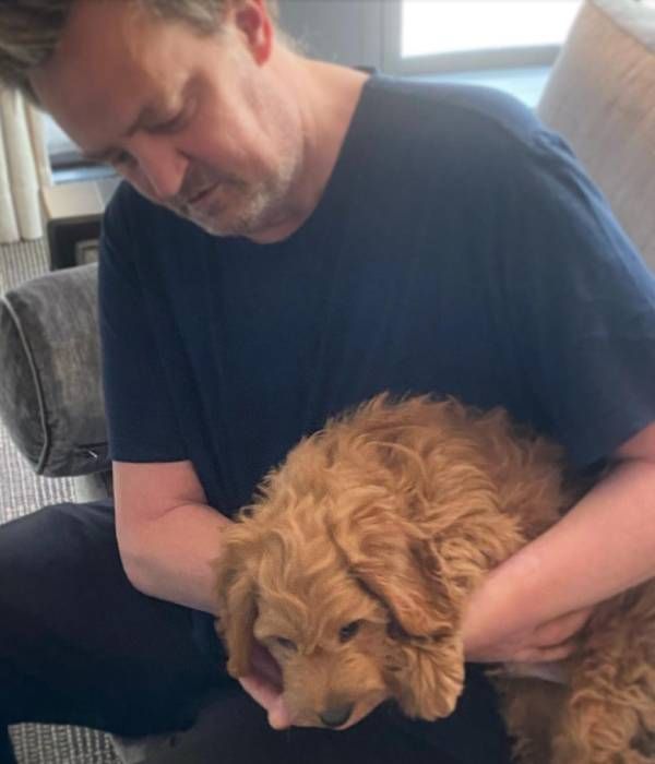 matthew perry new dog