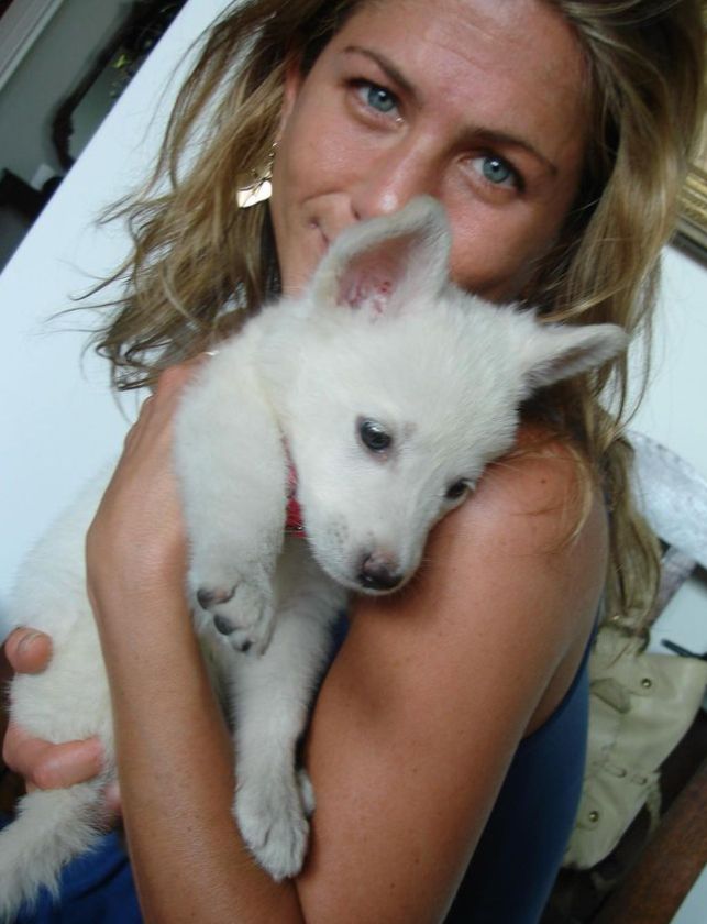 Jennifer Aniston holding a white dog