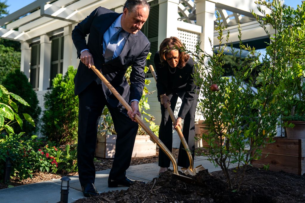 Second Gentleman Doug Emhoff and Vice President Kamala Harris plant a pomegranate tree at the Vice President's residence at the U.S. Naval Observatory on October 7, 2024 