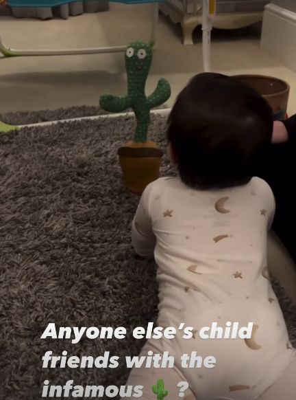 A baby girl lying on a rug looking at a toy cactus