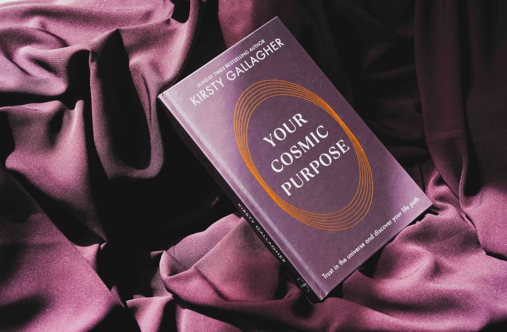 A picture of the book on a purple background
