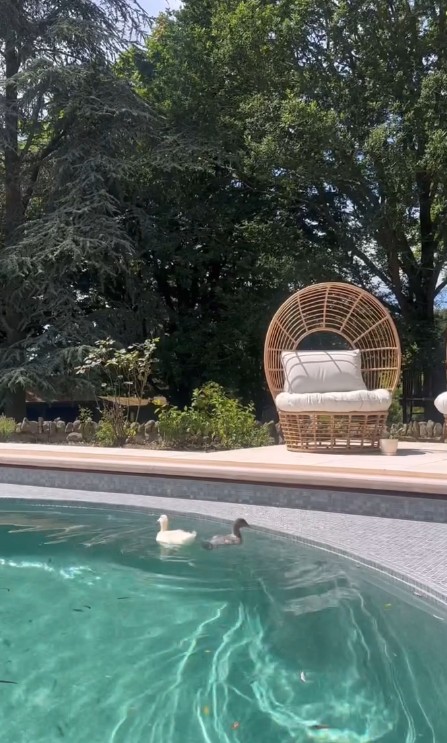 Stacey Solomon's two ducks swimming in the pool at her home