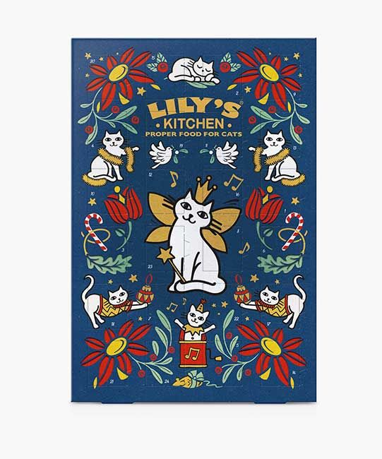 Best advent calendar for dogs & cats 2022: Calendars your pets will love |  HELLO!