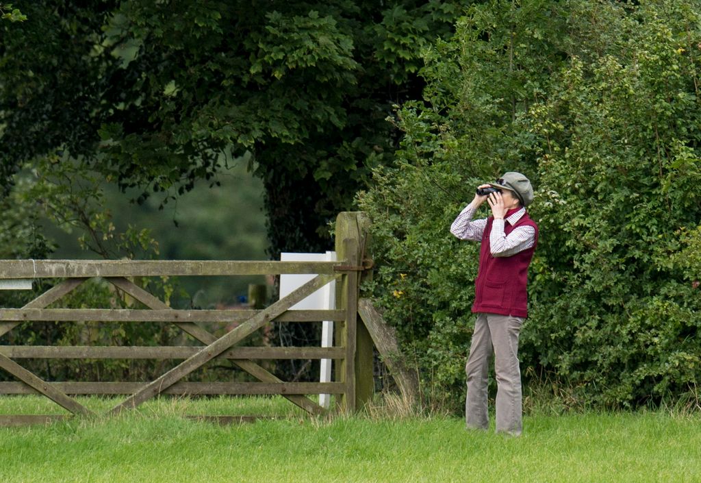 Princess Anne, Princess Royal attends the Whatley Manor International Horse Trials at Gatcombe Park on September 12, 2015