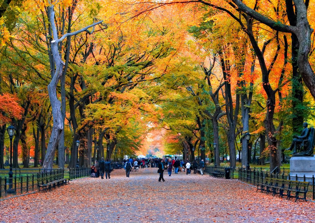 Last fall in Central Park in NY. I loved those colours everywhere and wanted to capture them.