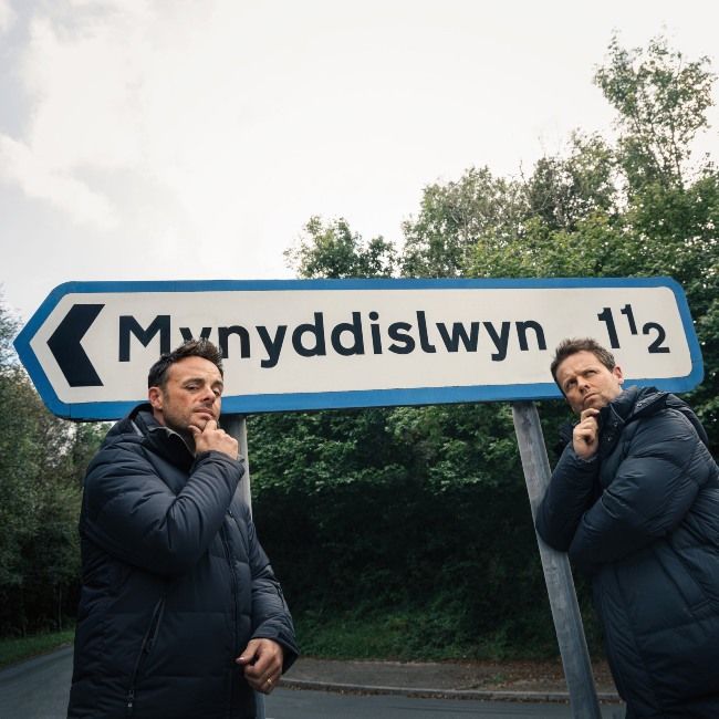 ant and dec wales