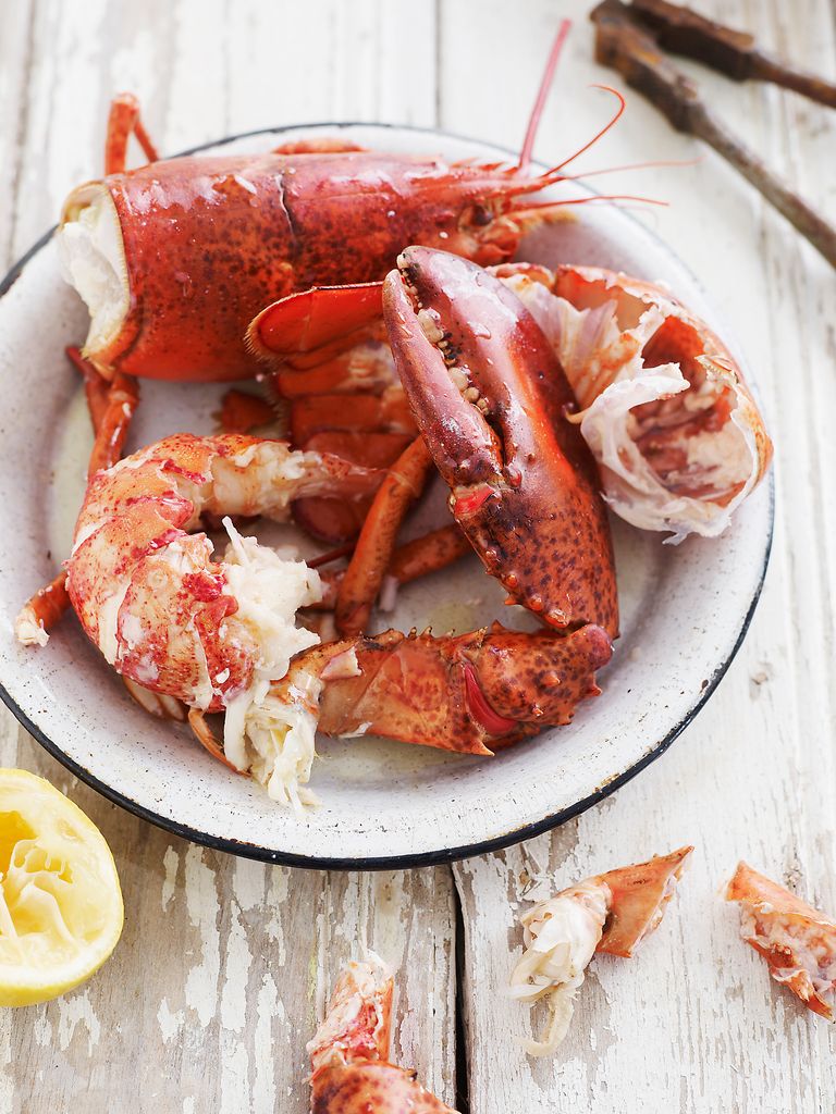 Lobster is a nutritious lean meat