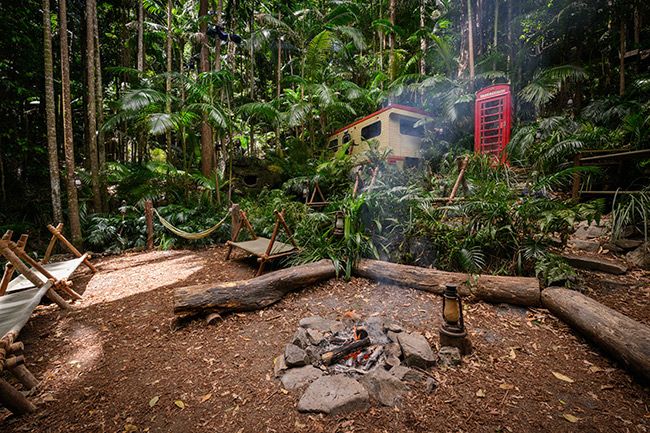 Jungle camp firepit