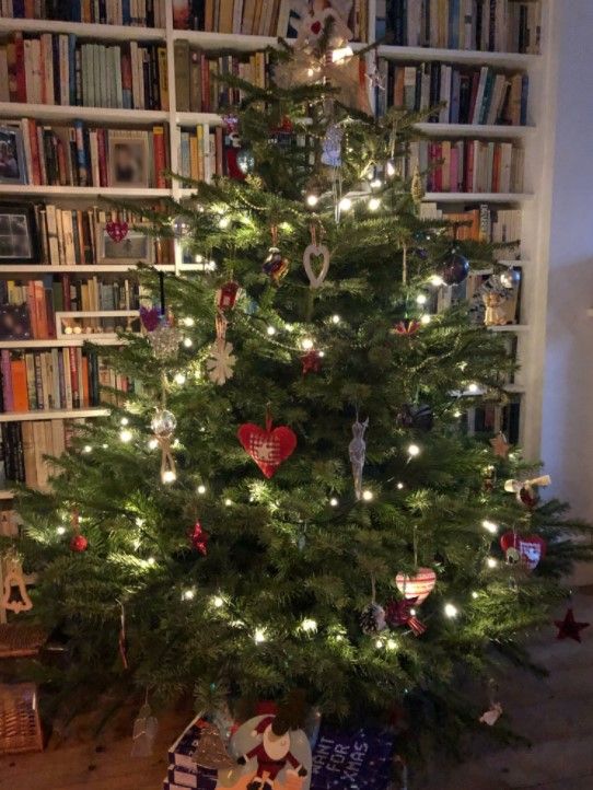 SUSANNA REID HOME CHRISTMAS TREE Z