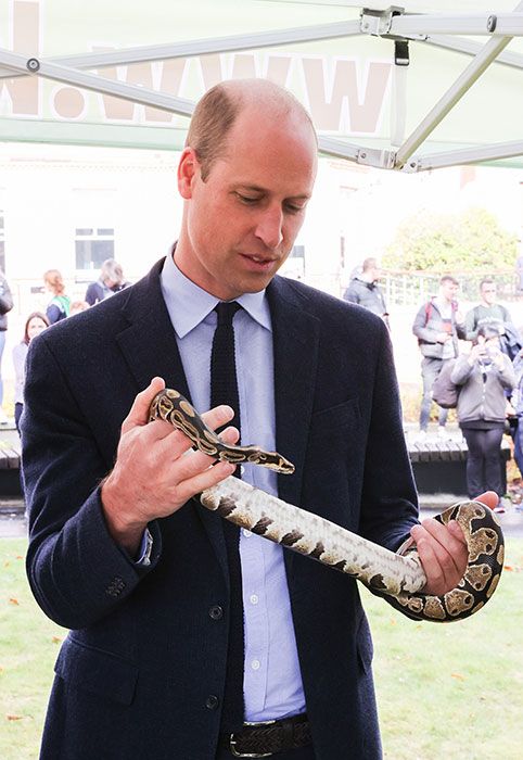 william holds snake