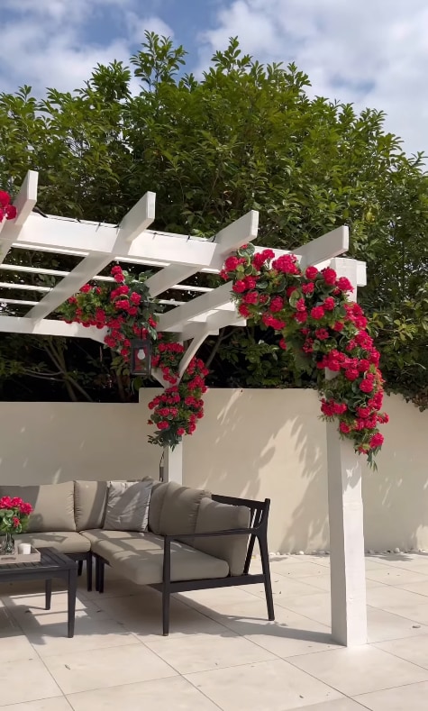 White pergola with red roses and garden furniture underneath in Stacey Solomon's garden