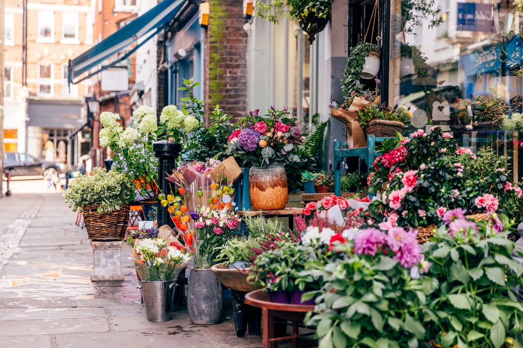 Beautiful flower shop in Hampstead, London, England, UK