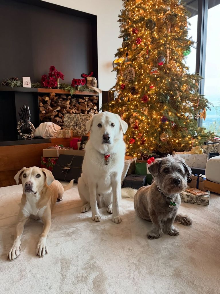 The Christmas tree inside Jennifer Aniston's home was lovely