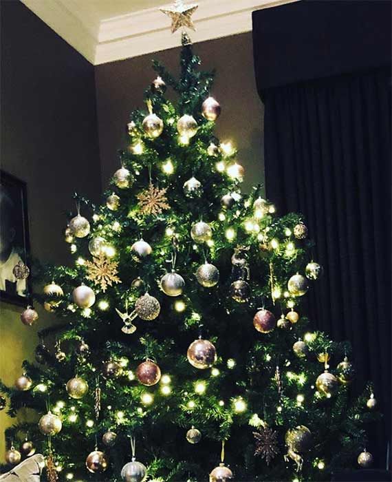 Peter Andre Christmas tree