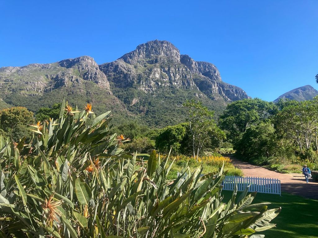 Kirstenbosch National Botanical Gardens