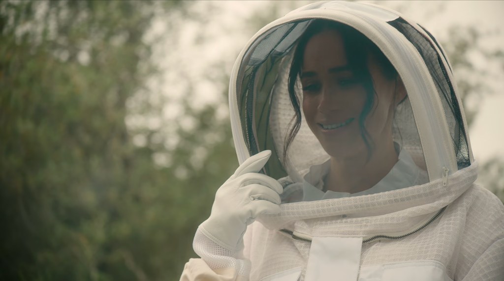 A woman wearing a beekeeper costume