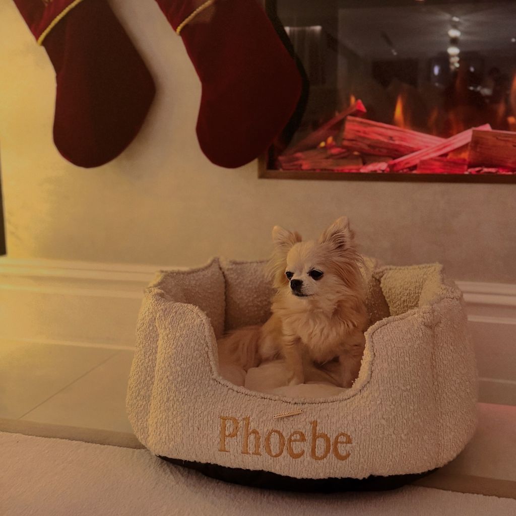 dog sitting in dog bed by fireplace 