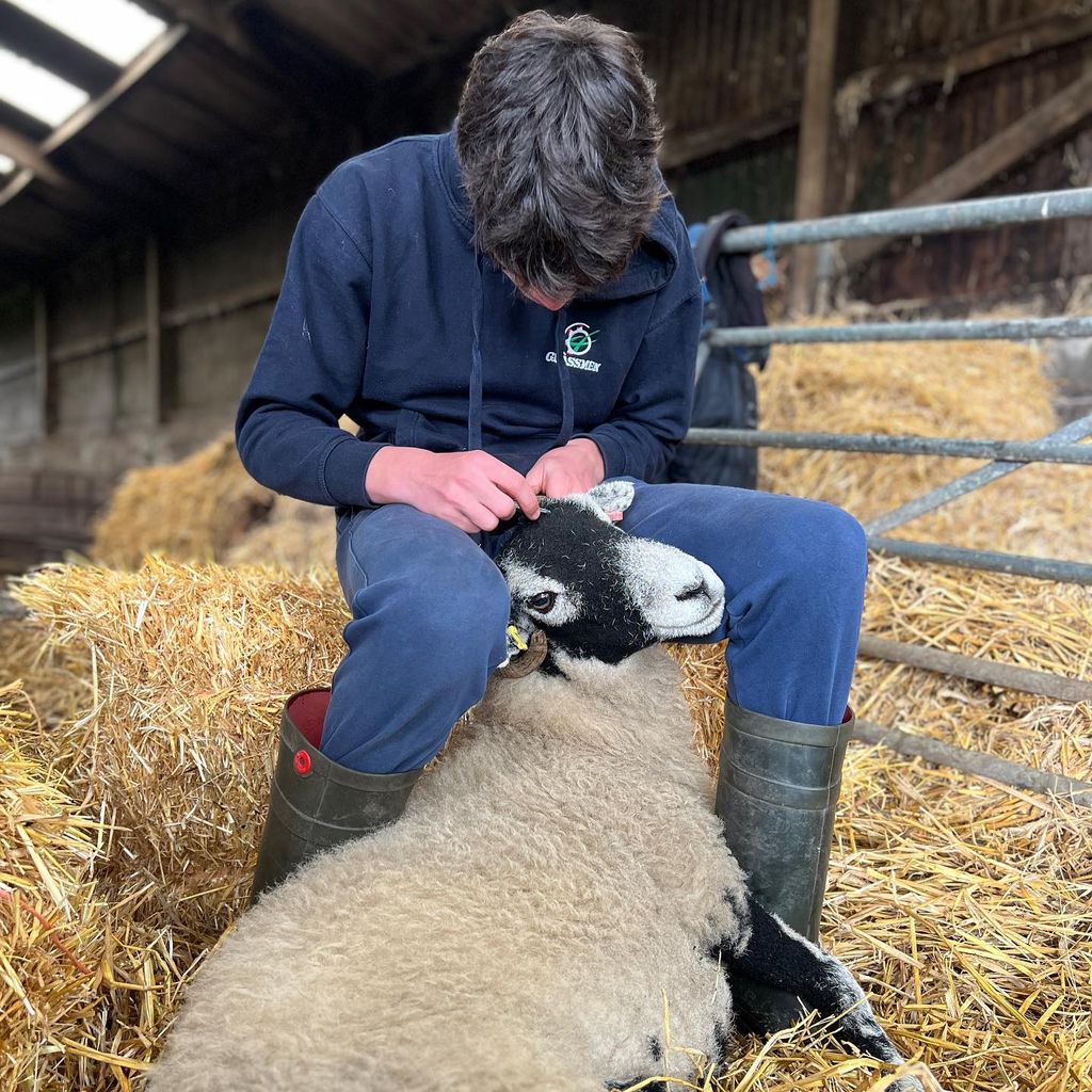 amanda owen's son tending to sheep 