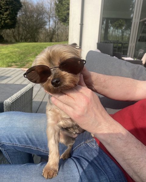 coleen nolan dog mica sunglasses