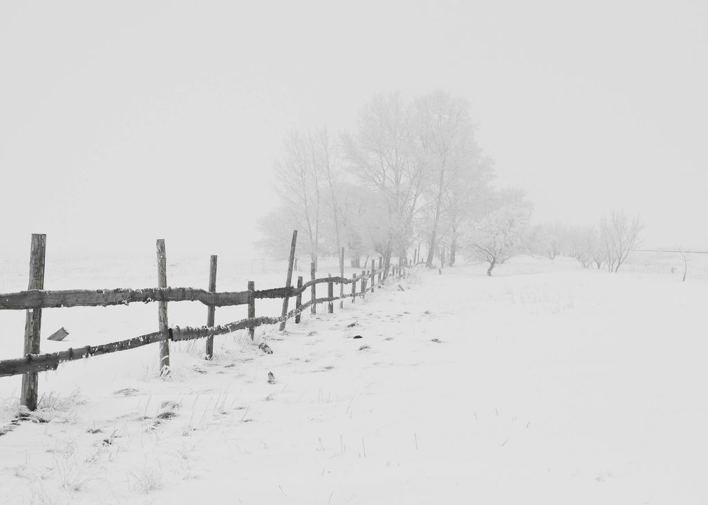 will it be a white Christmas this year in the UK?