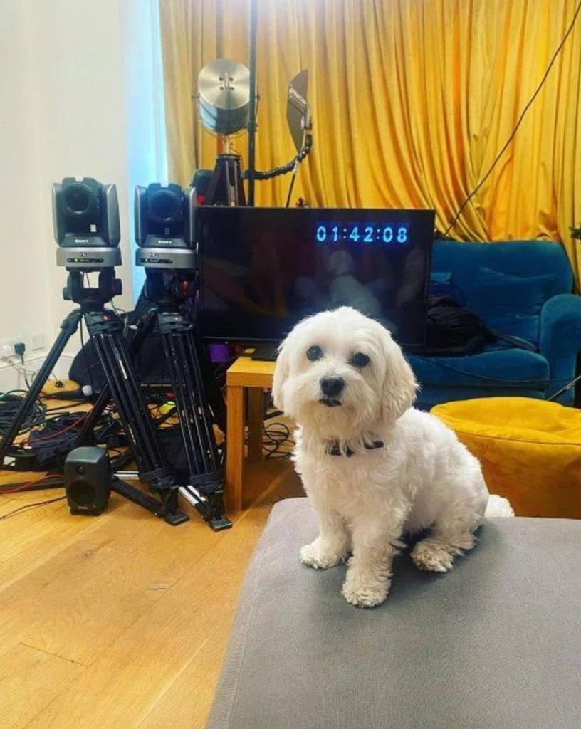 laura-whitmore-gogglebox-filming-dog