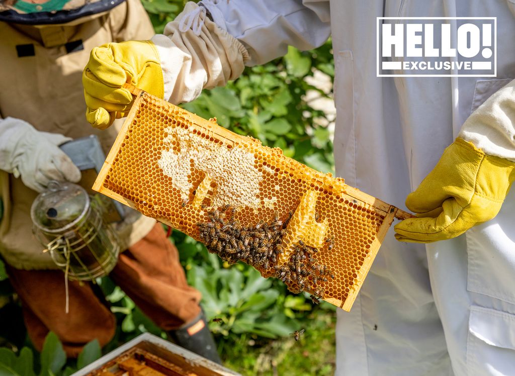 Nicola and James Reed's honey close up at Wiltshire home 