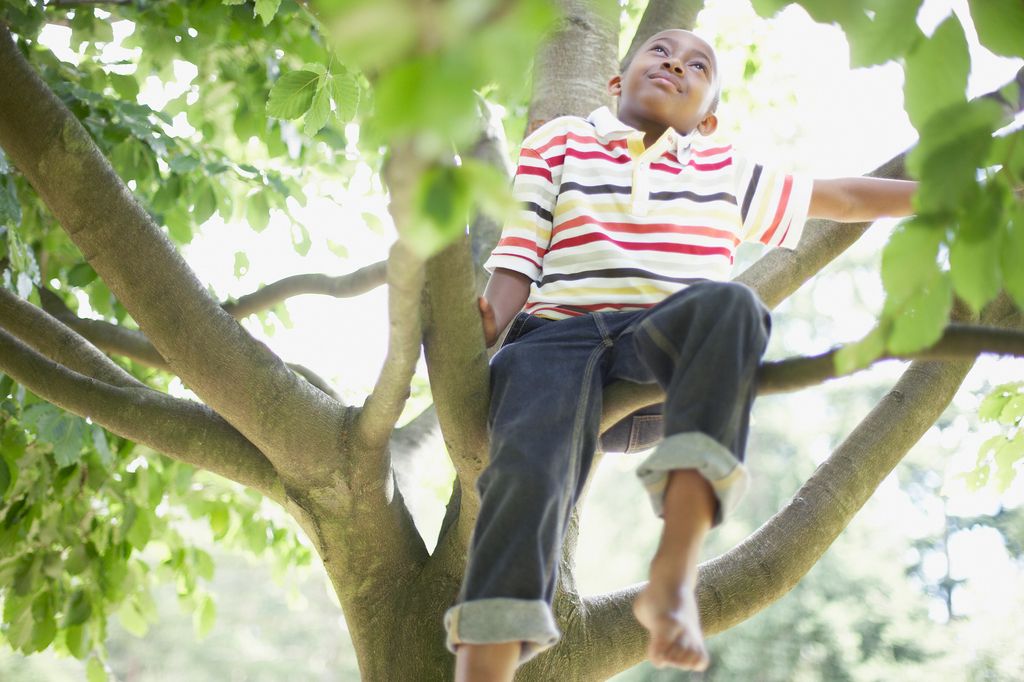 Children love to climb trees