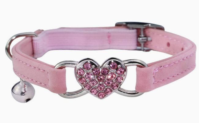 valentines cat collar with fast delivery on amazon