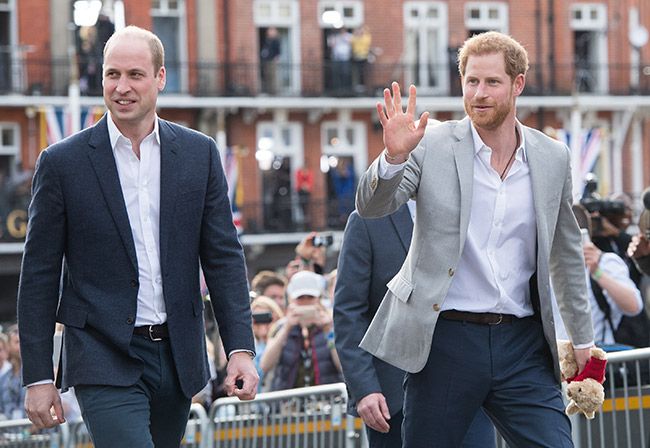 Prince William and Harry met fans at Windsor
