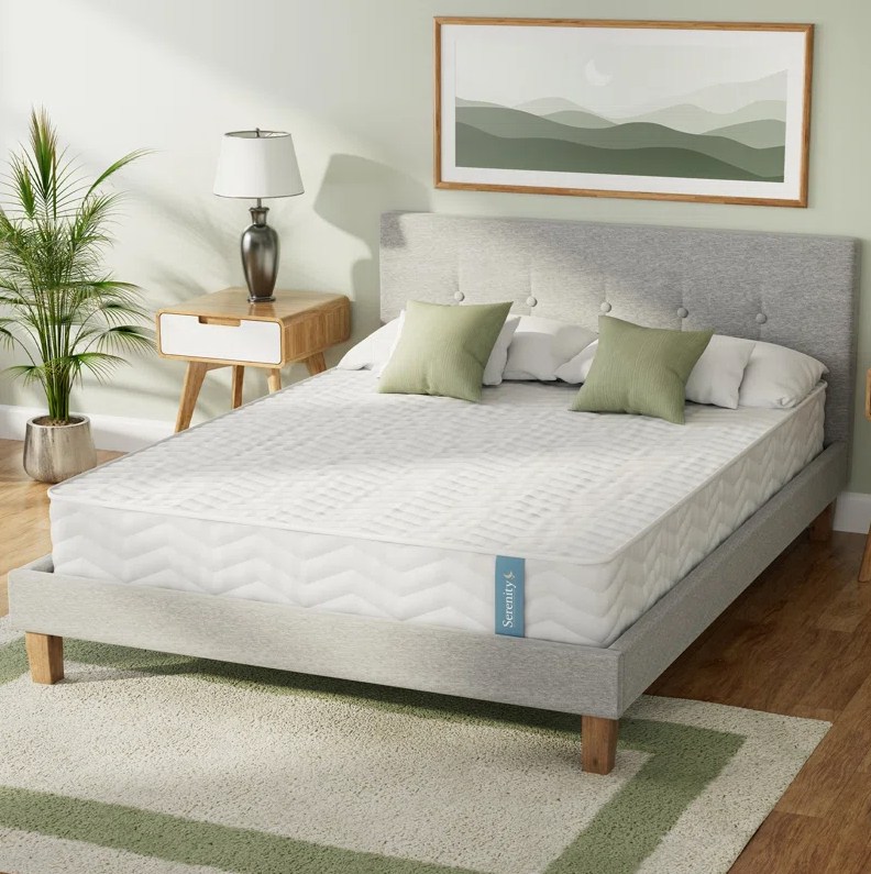 Wayfair Sleep Serenity Hybrid Coil and Memory Foam Mattress.