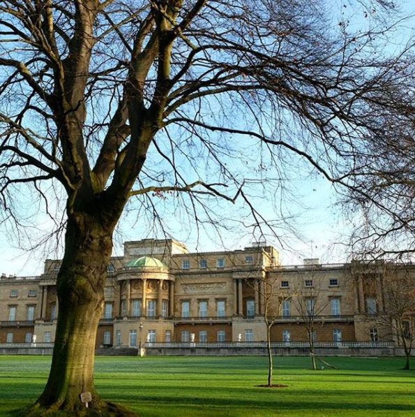 Buckingham Palace gardens