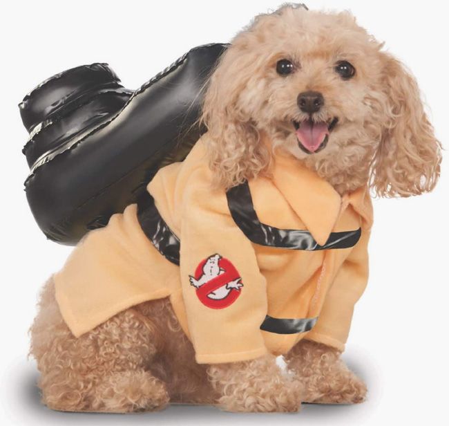 ghostbusters dog costume