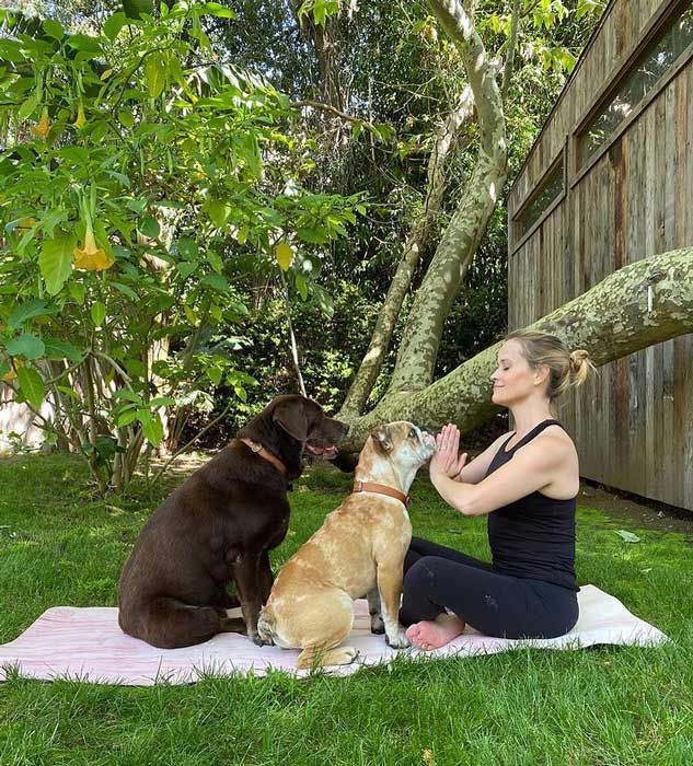 reese witherspoon yoga dogs