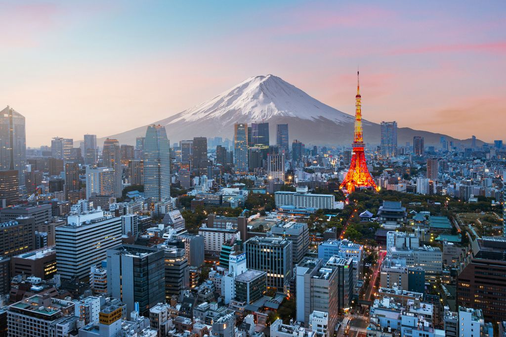 Mt. Fuji and Tokyo skyline