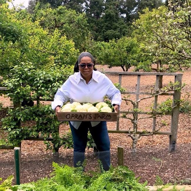Oprah Winfrey farm